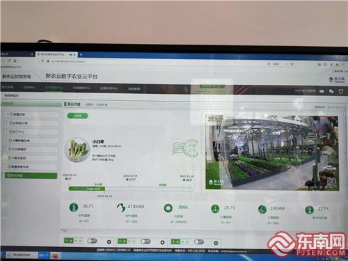 福建农业云131信息工程亮相第三届数字中国建设峰会，智能农业管理成焦点