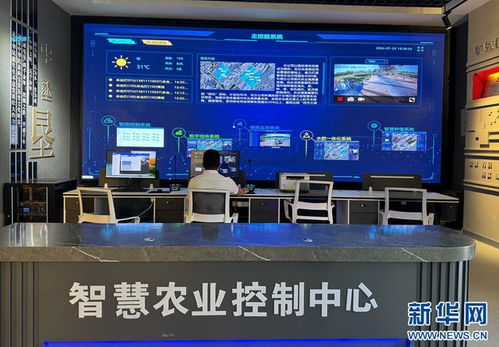 甘肃农垦 智慧农业换挡升级，智能管理引领未来