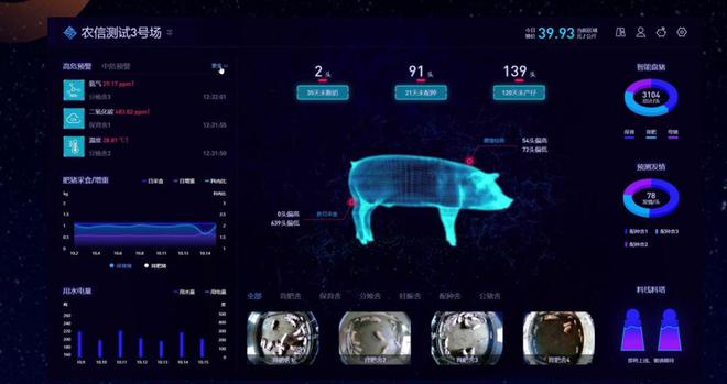 智能养猪 技术革新重塑现代养殖的未来