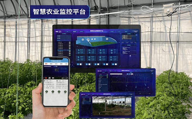 大数据与人工智能驱动下的智慧农业产业园区运营管理优化